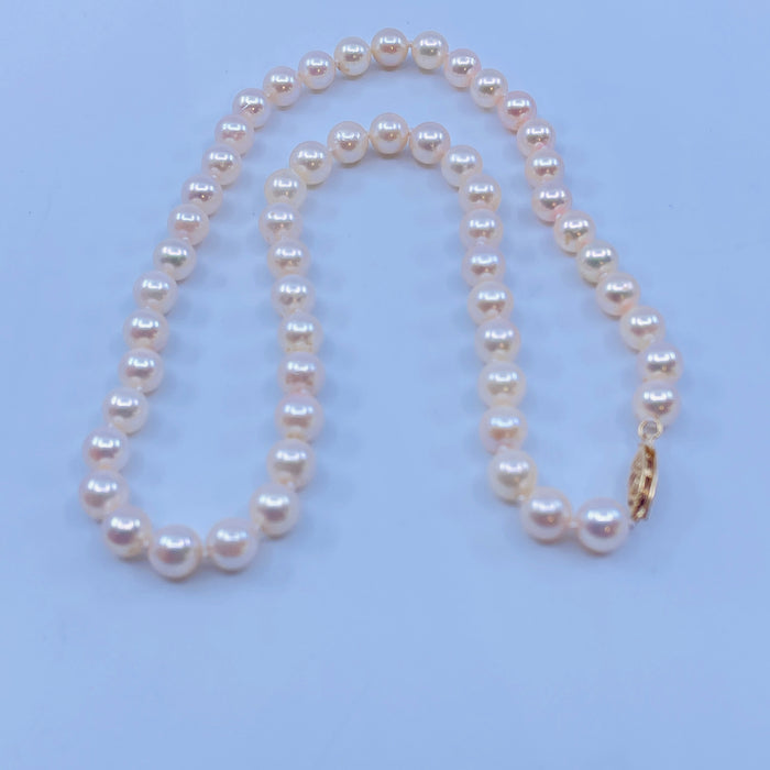 16” Akoya Pearl strand with 6-6.4mm pearls