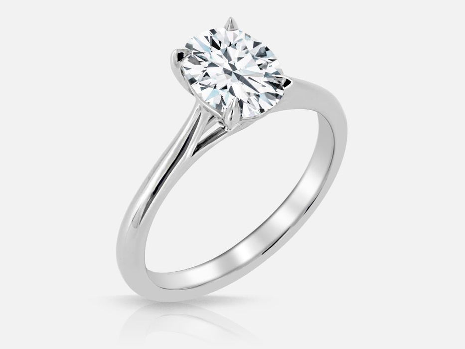 Cathedral trellis solitaire. Can be set with any shaped stone
