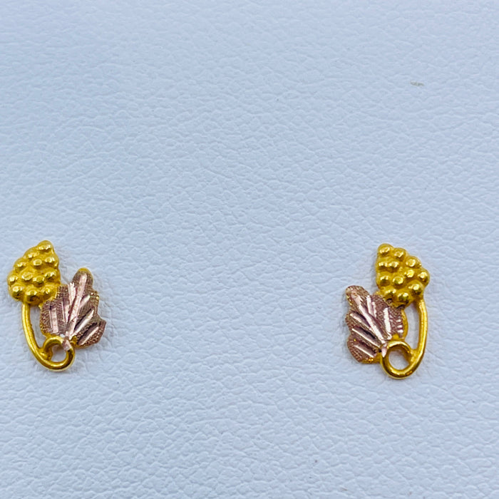 10kt Tri-color gold earrings